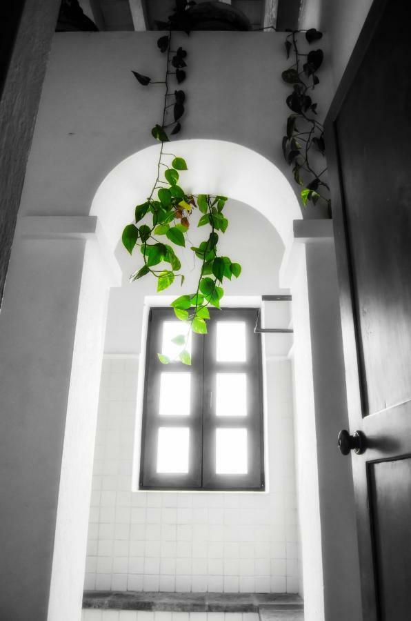 Puerta Del Lobo Willa Querétaro Zewnętrze zdjęcie