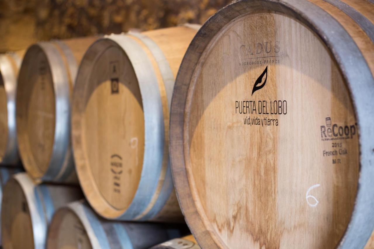 Puerta Del Lobo Willa Querétaro Pokój zdjęcie
